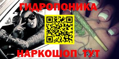 PSILOCYBIN Кинель