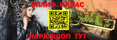 PSILOCYBIN Кинель