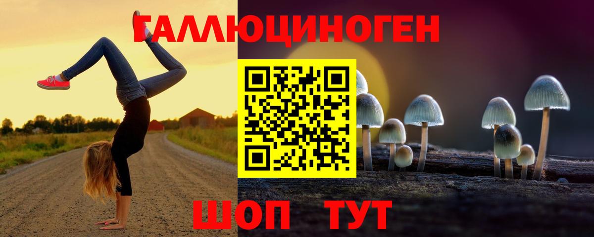 Усть-Джегута  Галлюциногенные грибы Cubensis  Вход с VPN 